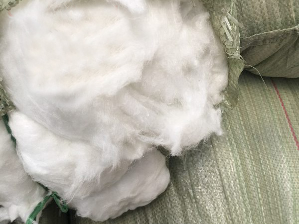 �����X��