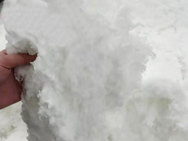 �մ��w�S��